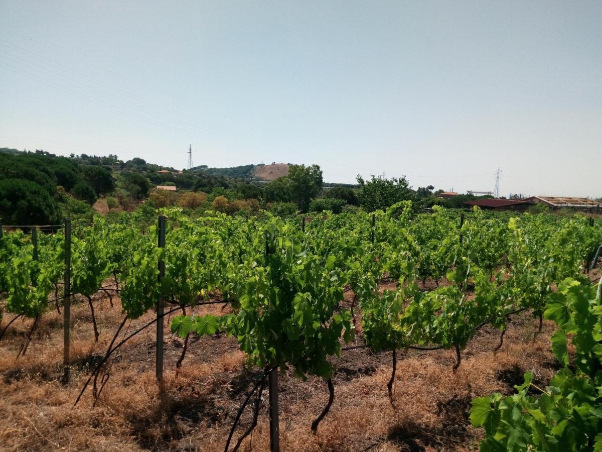벨파소 Etnasentieri Wine House On Etna Mount 빌라 외부 사진
