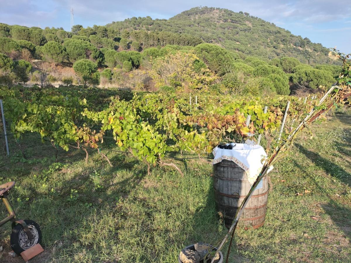 벨파소 Etnasentieri Wine House On Etna Mount 빌라 외부 사진