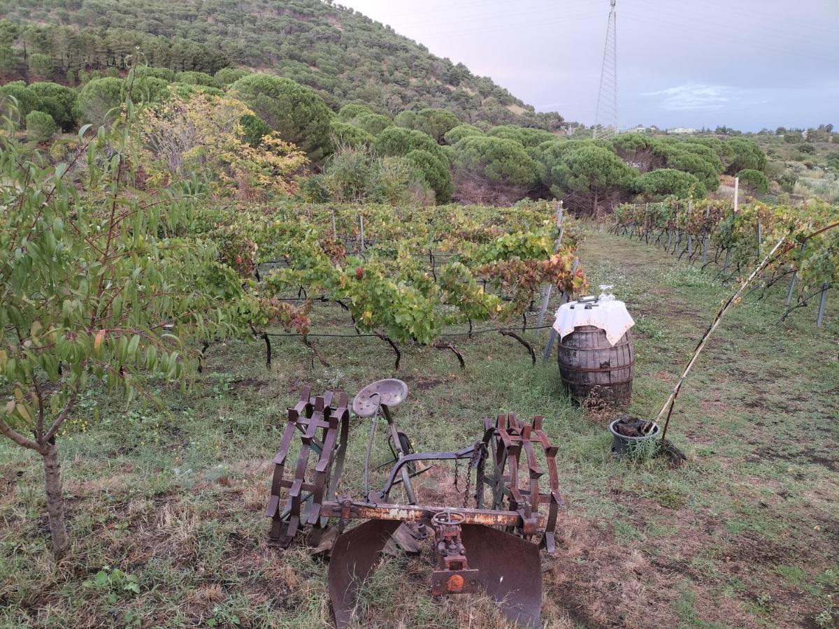 벨파소 Etnasentieri Wine House On Etna Mount 빌라 외부 사진